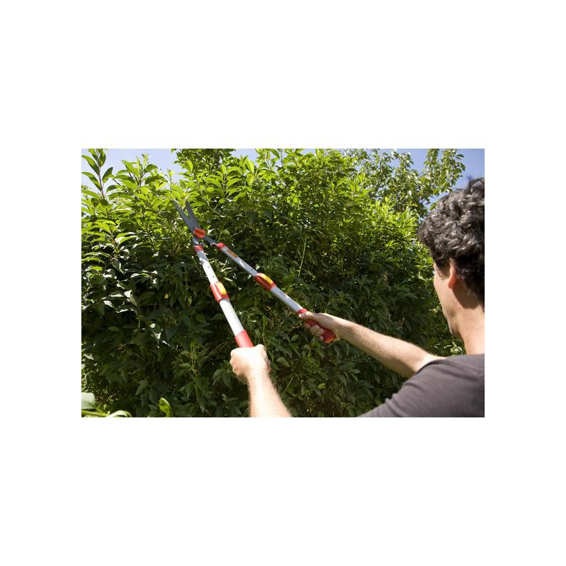 Cisaille à haies télescopique OH75T Outils Wolf – Image 4